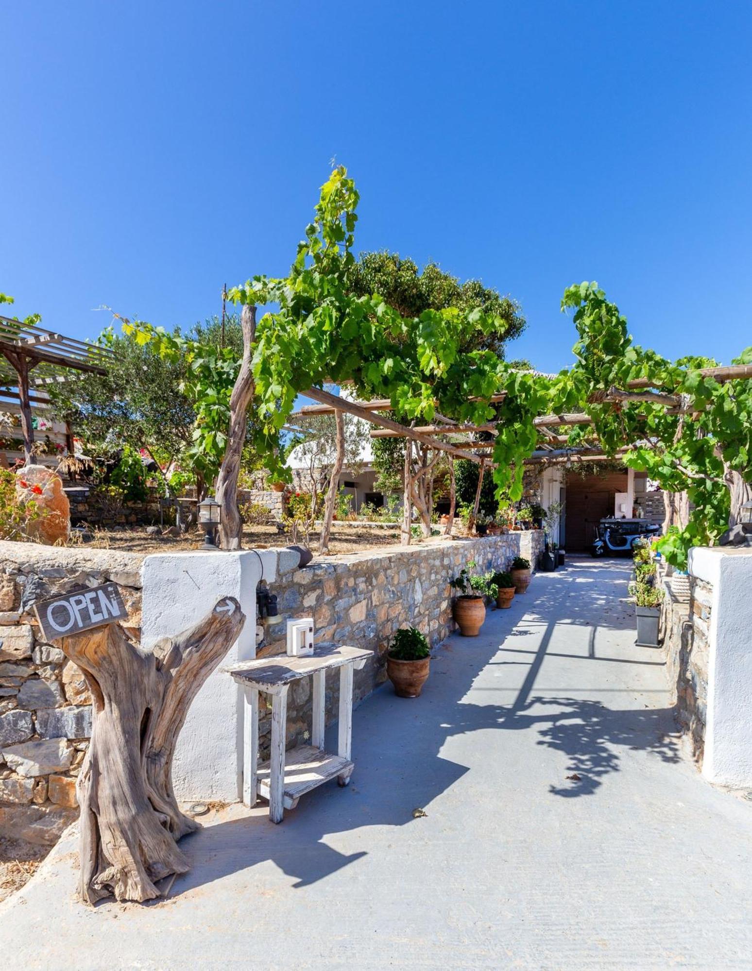 Harama Hotel Schinousa Schoinoussa المظهر الخارجي الصورة
