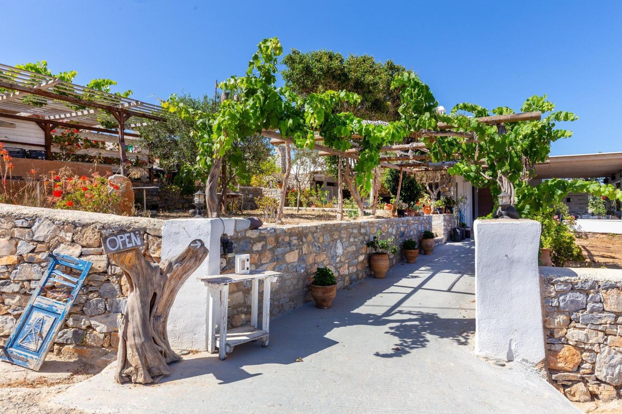Harama Hotel Schinousa Schoinoussa المظهر الخارجي الصورة